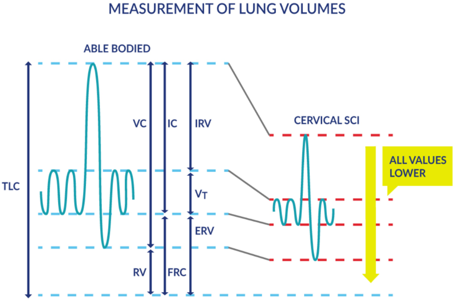Lung volumes